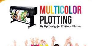 Digital Vinyl Printing Services