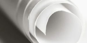 Poly Coated Cup Stock Paper