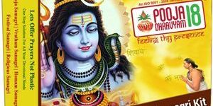 Maha Shivratri Pooja Samagri Kit