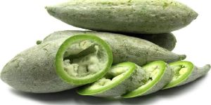 Fresh Snake Gourd