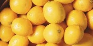 Fresh Lemon