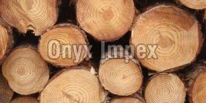 Canadian Pine Wood Lumbers