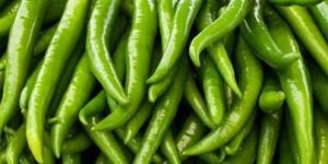 Fresh Green Chilli