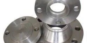 Stainless Steel Flanges
