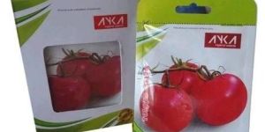Tomato Seed
