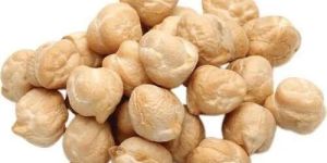 Chickpea