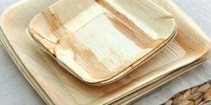 Palm Leaf Plates