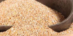 Wheat Dalia