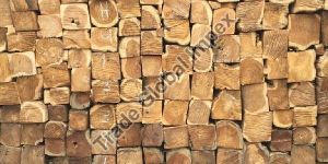 Teak Wood (Sagwan)