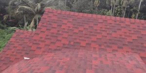 Roofing Shingle