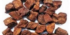 Roasted Chicory Cubes