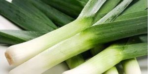 Fresh Leeks