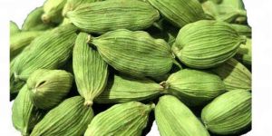 Cardamom