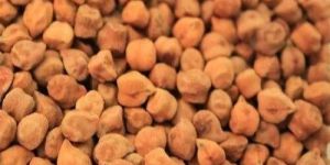 Brown Gram