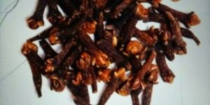 Dry Cloves