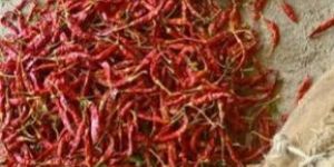Teja Red Chilli