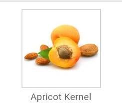 Apricot Kernels