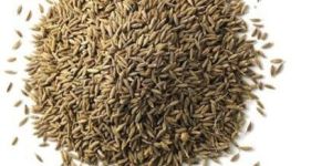 Cumin Seed