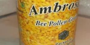 Bee Pollen Grain