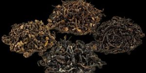 Organic Oolong Tea