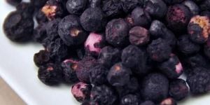 Dehydrated Blueberry