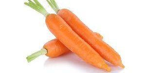 Fresh Carrot