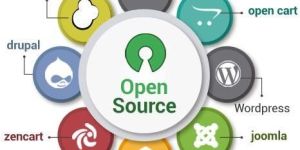 Open Source Web Development Services