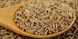 Cumine Seed
