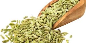 Fennel Seeds