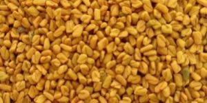 Fenugreek Seed