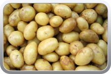 Fresh Potato