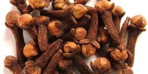Clove Buds