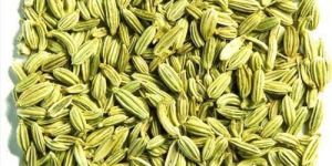 Fennel Seeds