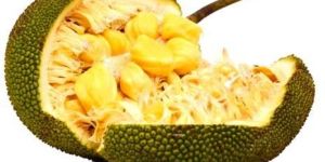 Fresh Jackfruit