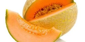Fresh Muskmelon
