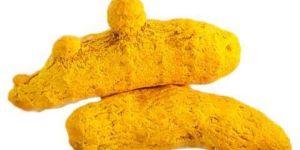 Turmeric Fingers