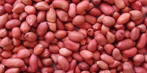 Peanut Red Skin