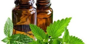 Peppermint Oil