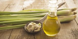 Lemon Grass Oil