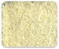 Sona Masoori Rice