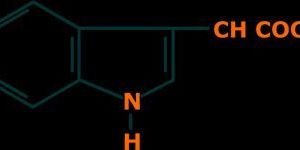 Indole-3-acetic Acid
