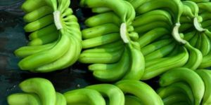 Fresh Green Banana