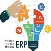 ERP Consulting