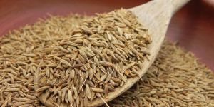 Cumin Seeds