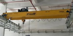 Demag EOT Cranes