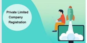 Private Limited Company Registration Service