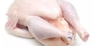Frozen Whole Chicken Meat