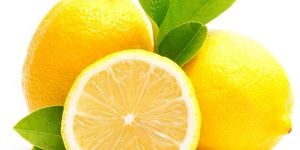 Fresh Lemon