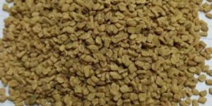 Fenugreek