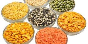 Organic Pulses